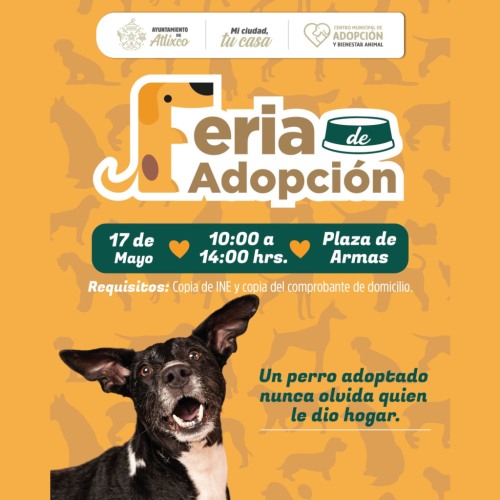 Feria de Adopci�n