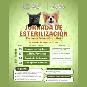 Jornadas gratuitas de esterilizaci�n canina y felina en Atlixco Septiembre 2026