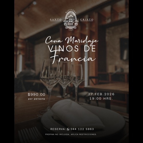 Maridaje Vinos de Francia