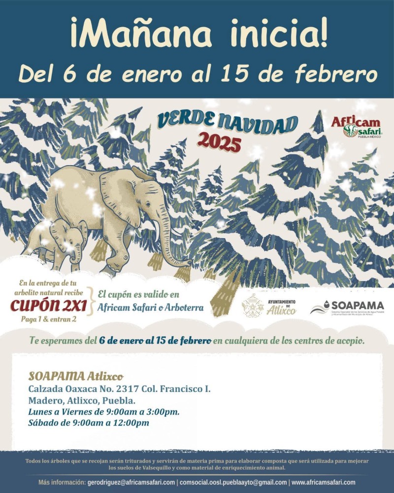 Centro de Acopio Arboles de Navidad