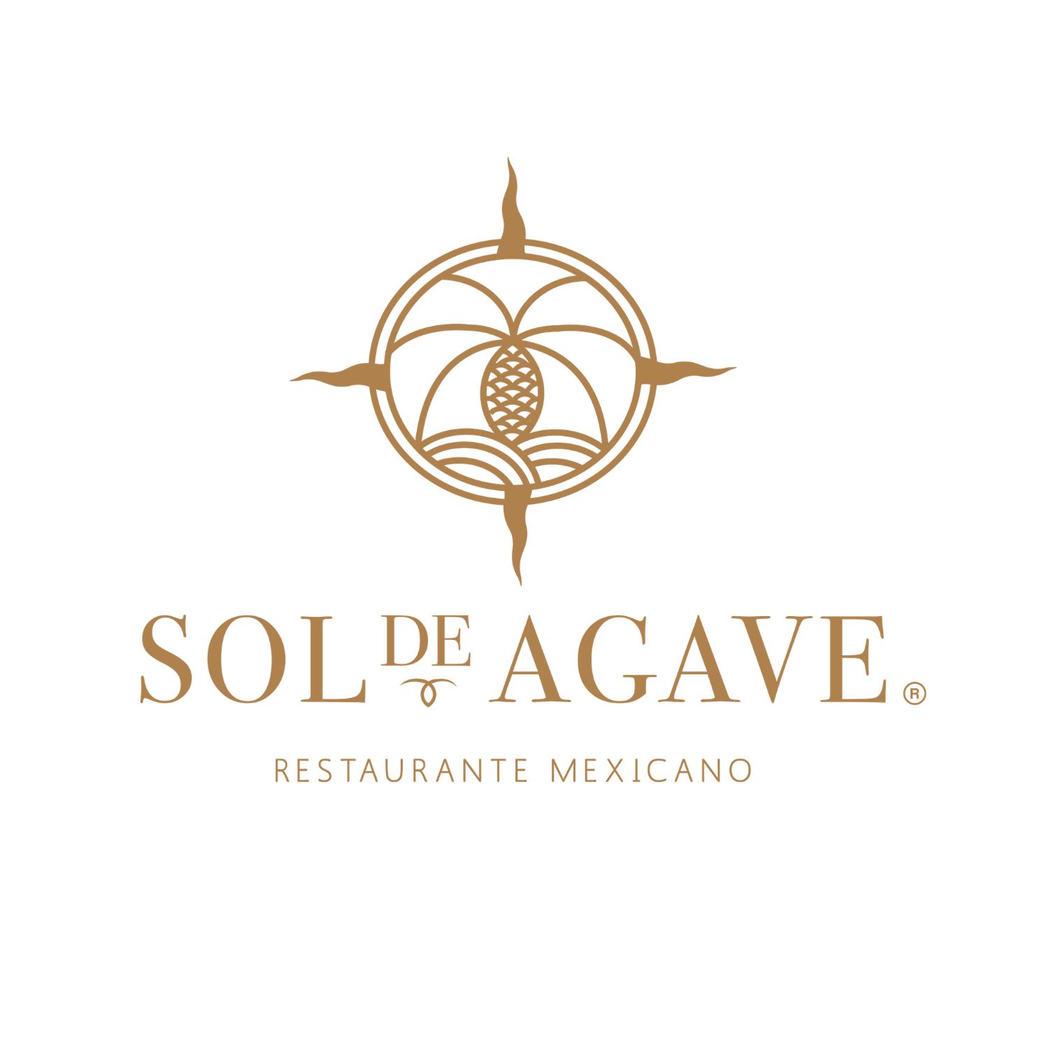 Sol de Agave